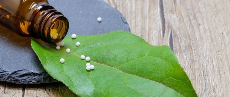 homéopathie chat